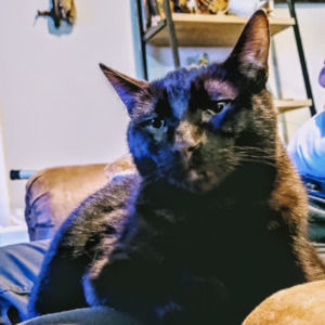 Meet your Posher, Melanie